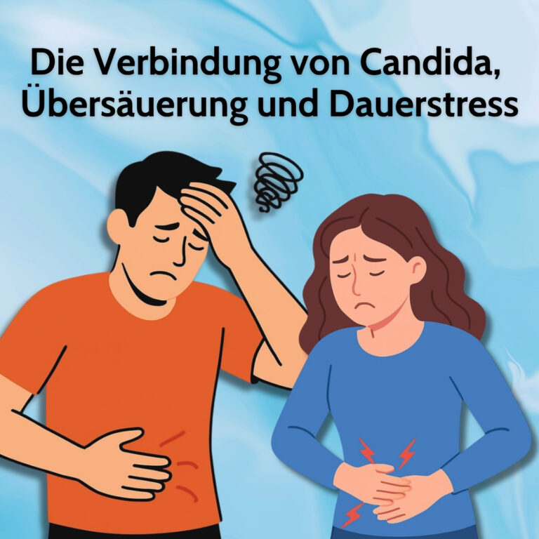 Der Teufelskreis der Übersäuerung und seine Auswirkungen auf unsere Gesundheit